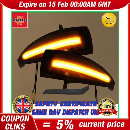 Led wing mirror indicators - wing,