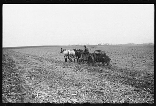 Plowing with four - with,