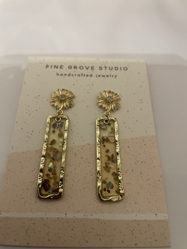 Abalone encased shell pieces - abalone,
