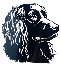 1x English Spaniel Cocker