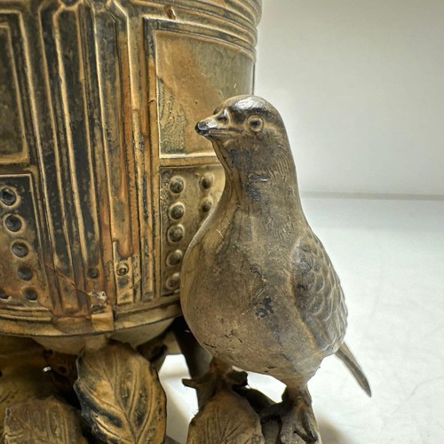 Foal and buddhist - foal,