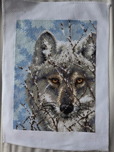 Finished wolf portrait cross - finished,