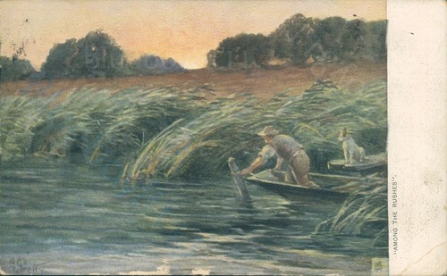 Among the rushes tucks oilette