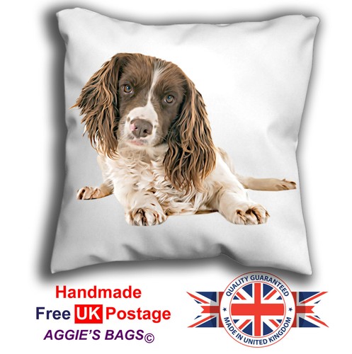 English springer spaniel - english,