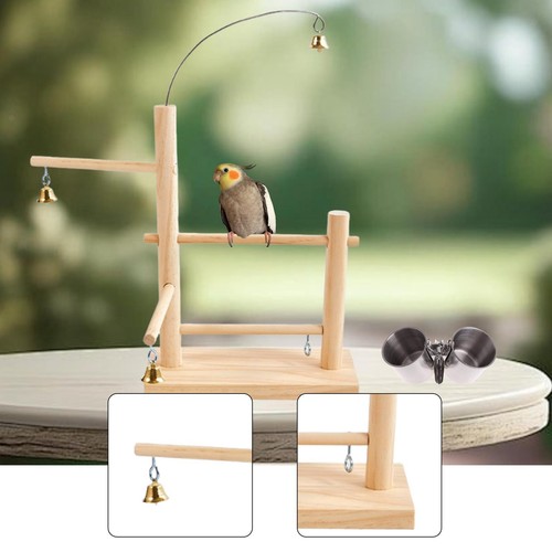 Parrot playstand bird - parrot,