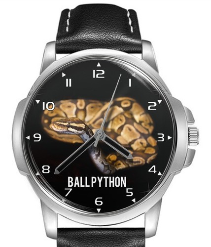 Ball python pet snake leather - ball,