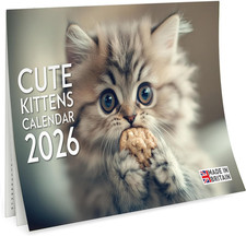 Cute Kittens Calendar 2026 UK
