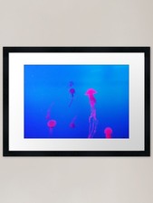 Neon Pink Jellyfish Framed Art