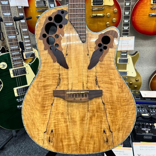 Ovation ce44p spalted maple - ovation,