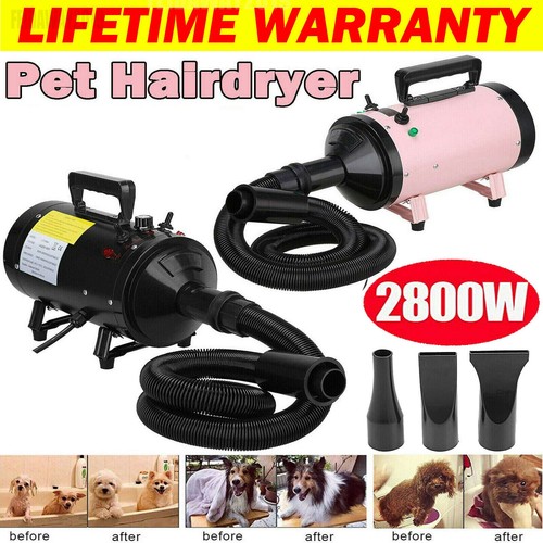 Dog hair dryer blaster pet - dog,