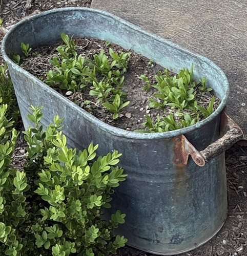 Farm fresh vtg copper - farm,