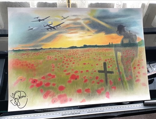 Poppy day remembrance ww1 - day,