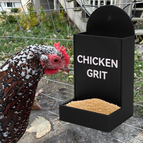 Chicken grit feeder corner - grit,