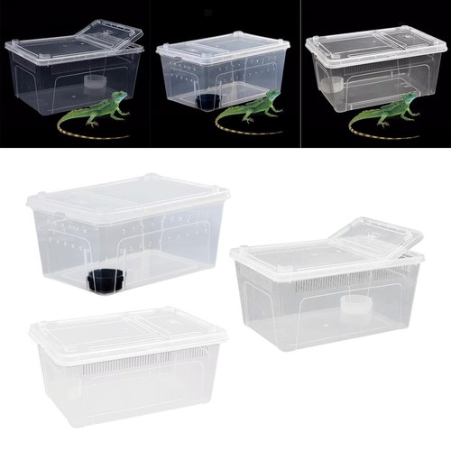 Clear terrarium habitat - clear,