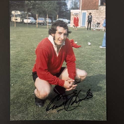 Gareth edwards wales - gareth,