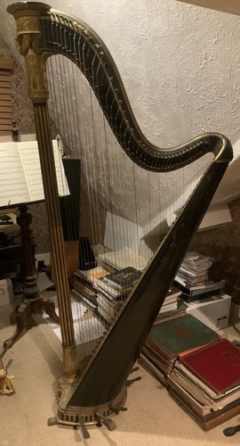 Chaillot paris string - paris, 41