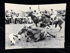 ORIGINAL 1985 HORSE RACING