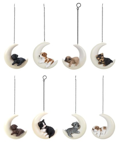 Vivid arts hanging moon - vivid,