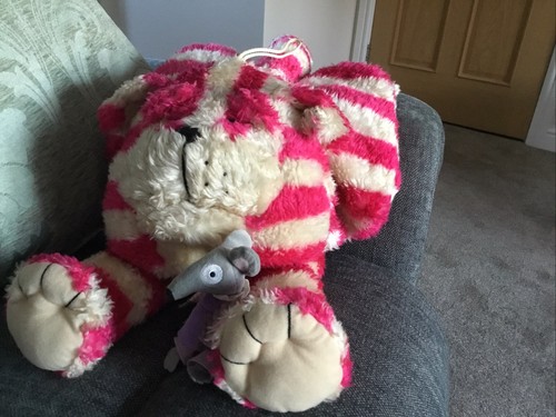 Bagpuss hot water - hot, bottle