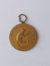 Old 7th Armoured Division Desert Rats Winners Boxing Medal Medallion Inter Team
