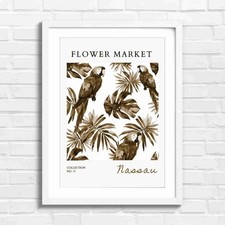 Colorful Macaw Parrots Amidst