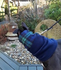 Easy Care Blue Green Tartan Hound Dog Fleece Snood Neck Warmer