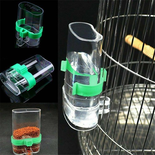 Bird water drinker - drinker, feeder