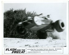 Flash and the Firecat 8x10