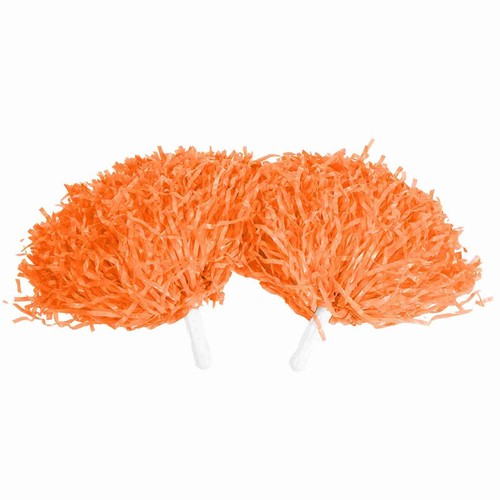 Fashionable cheerleader pom - cheerleader,
