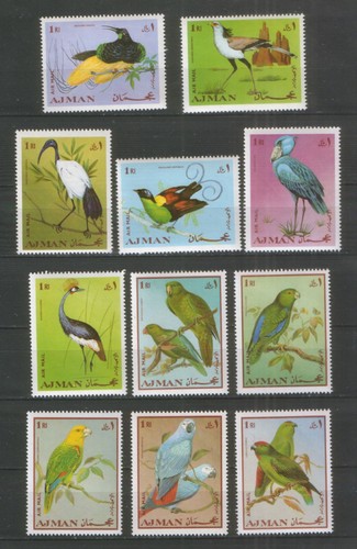 Ajman 394 birds - 394-04,