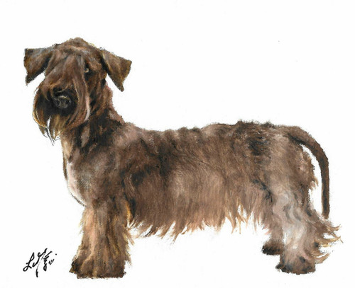 Original oil portrait - ✤,
