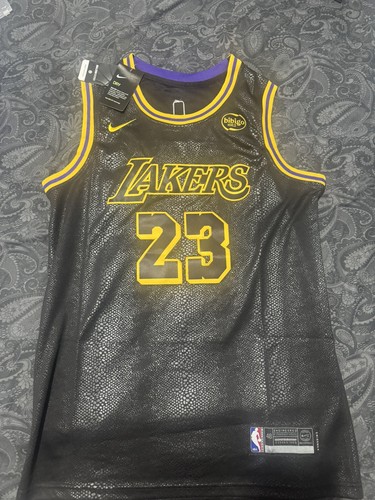 Nba basketball lebron james - basketball,