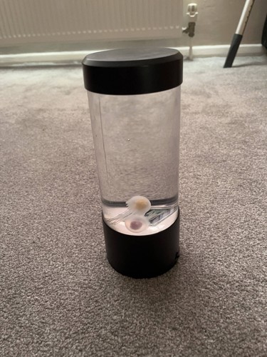 Desktop jellyfish tank - jellyfish,