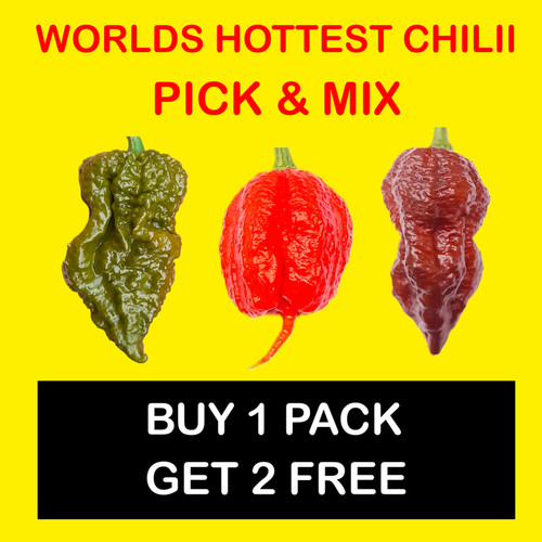 Worlds hottest chilli seeds - chilli,