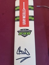 Ian Botham Signed Full Sized
