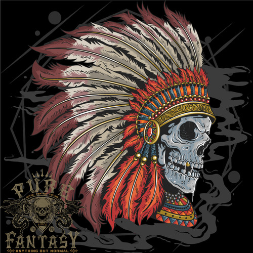 Indian headdress skull native - indian,