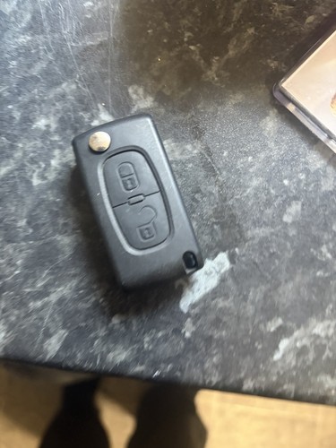 Button remote flip car key - flip,