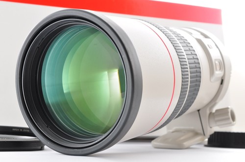 Canon 300mm l is usm - is,