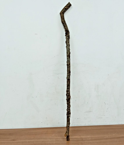Blackthorn shank walking - walking, stick
