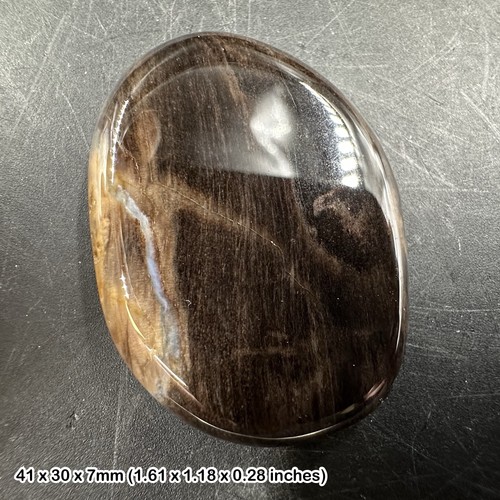 Fossil wood worry - stone, palm