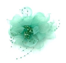 Ladies Beaded Chiffon Beak