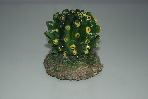 Detailed vivarium reptile - detailed,
