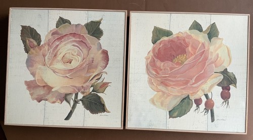 Pair rose pictures shabby - rose, pictures.