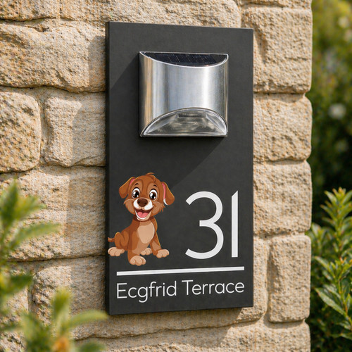 Custom solar light - custom, house