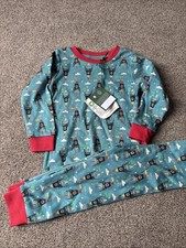 Little Green Radicals Rocket