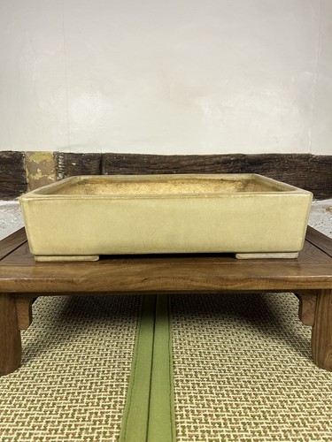 Aiba koyo bonsai pot cream - koyo,