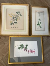 Vintage  3  Framed Botanical  Floral Prints  Gold Tone frame