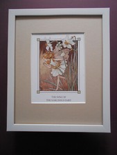 Cicely Mary Barker print 'The