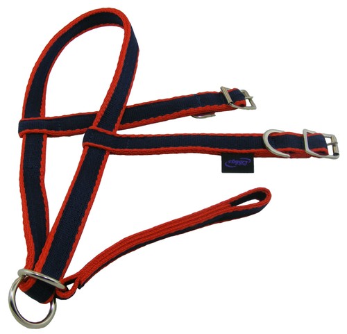 Official libby endurance - official,