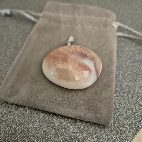 Fossil shell pendant set - , in